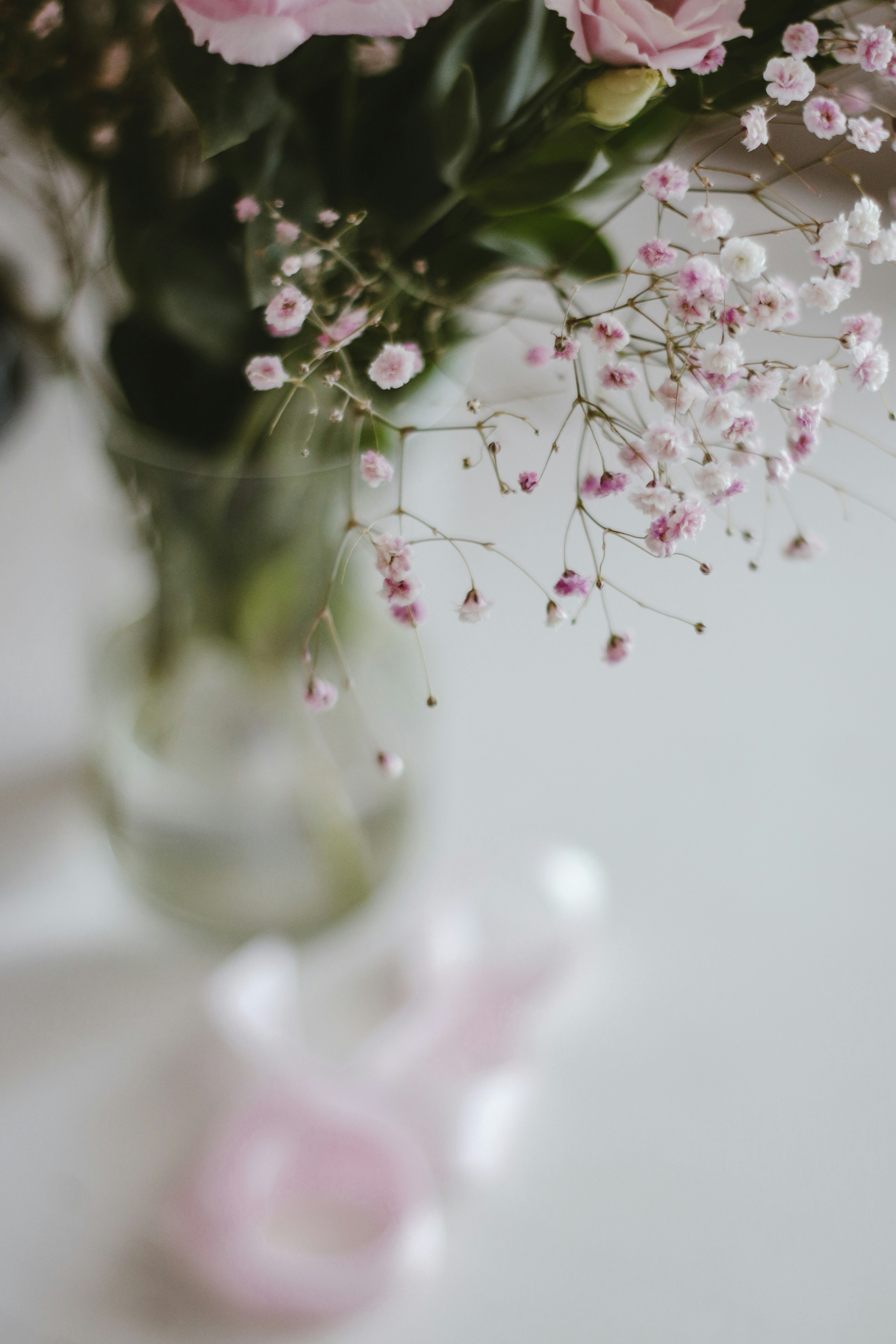 white and pink flowers in clear glass vase